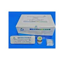 精子成熟度，流產(chǎn)/胚胎停育檢測試劑 BRED-023