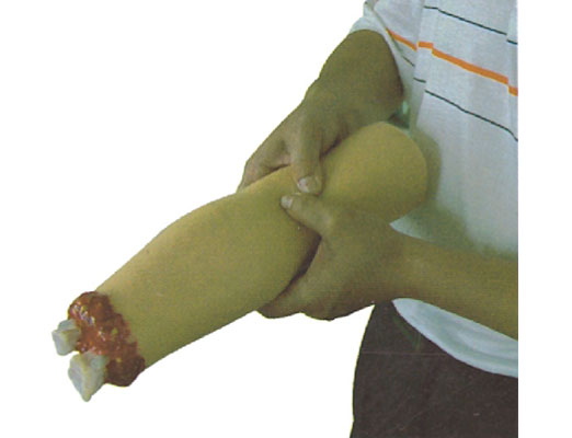 2011090135986765.jpg