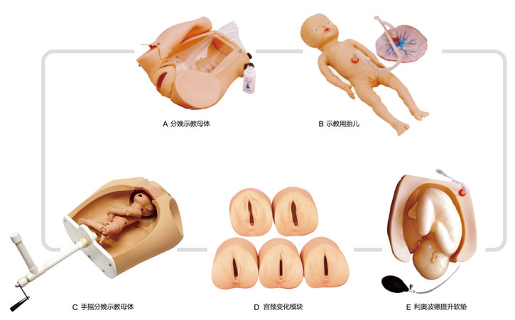 腹部觸診、分娩機(jī)轉(zhuǎn)綜合模型KAS/F54