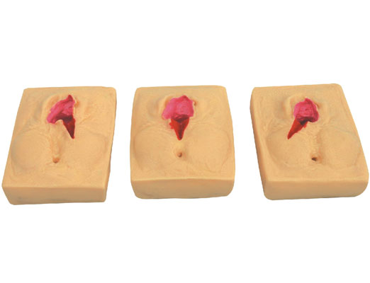 硅膠會(huì)陰切開(kāi)縫合練習(xí)模型（3件/套）?KAS-HY