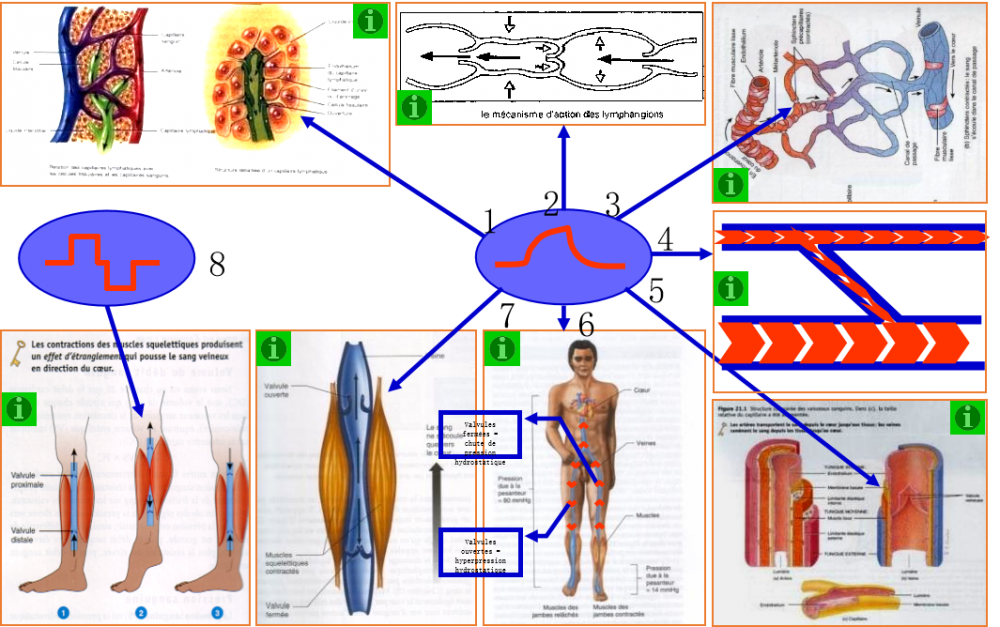 盆底康復(fù)治療儀