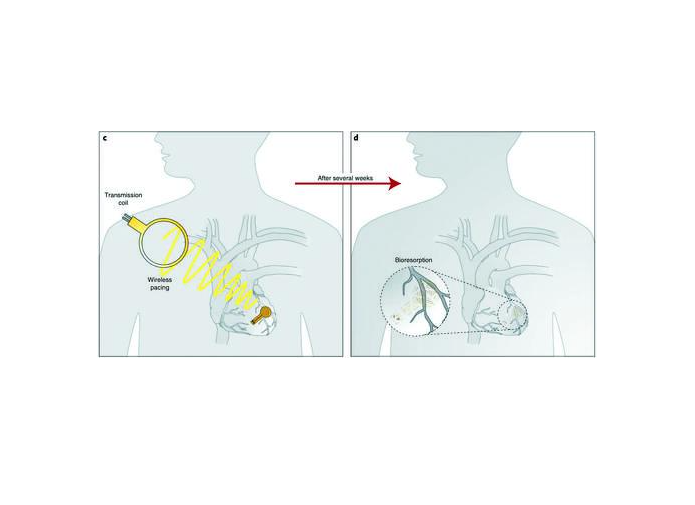 QQ截圖20231206164900.png QQ截圖20231206164900.png