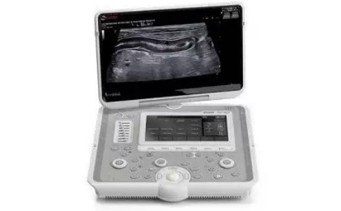 小動(dòng)物超聲成像系統(tǒng)MYLAB? Sigma Vet