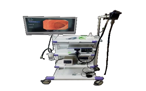 20250430_電子胃腸鏡_20250430_114325_1567.jpg 20250430_電子胃腸鏡_20250430_114325_1567.jpg